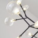 Innerspace - Heracleum Crystal Chandelier